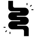 <strong>THE GUT BYPASS</strong>